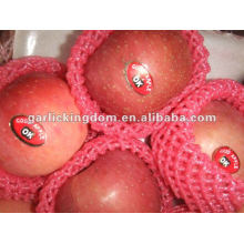 Manzana roja del fuji de la buena calidad / manzana roja deliciosa roja china